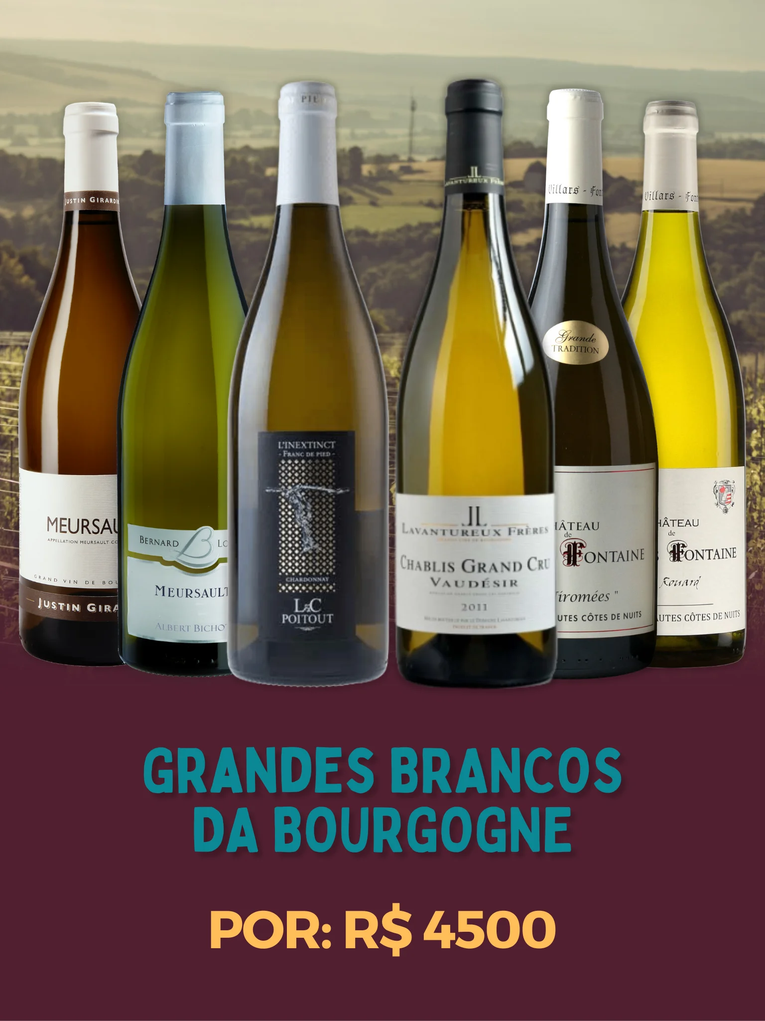 Grandes Brancos da Bourgogne<