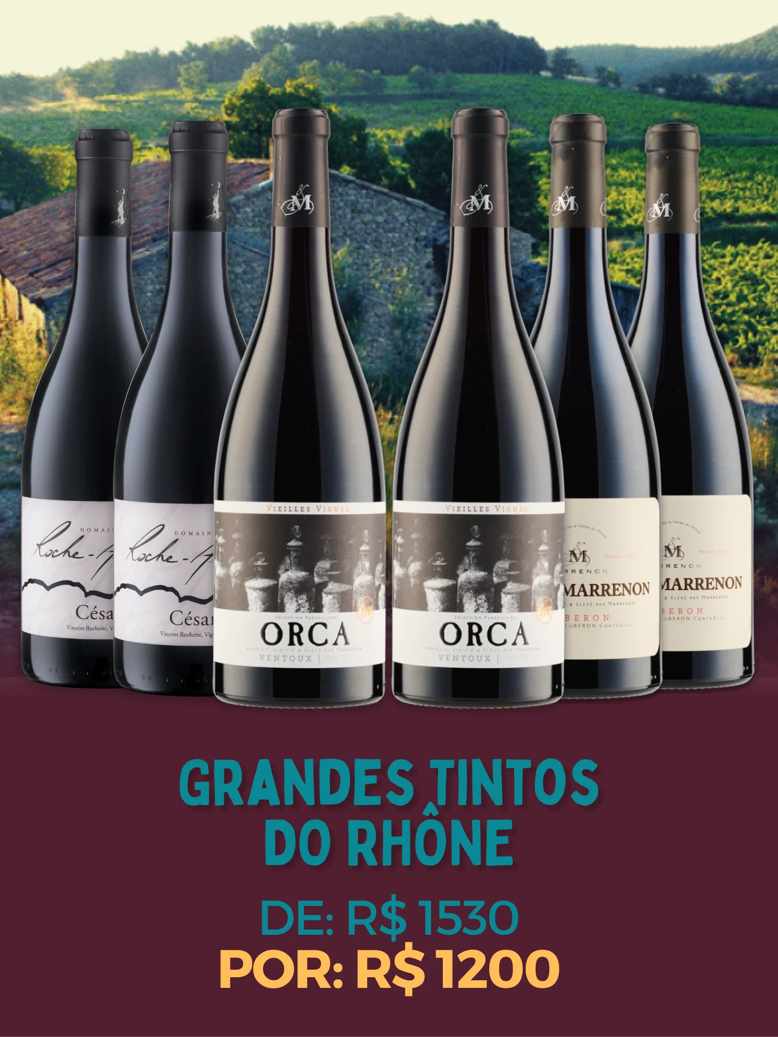 Grandes Tintos do Rhône<