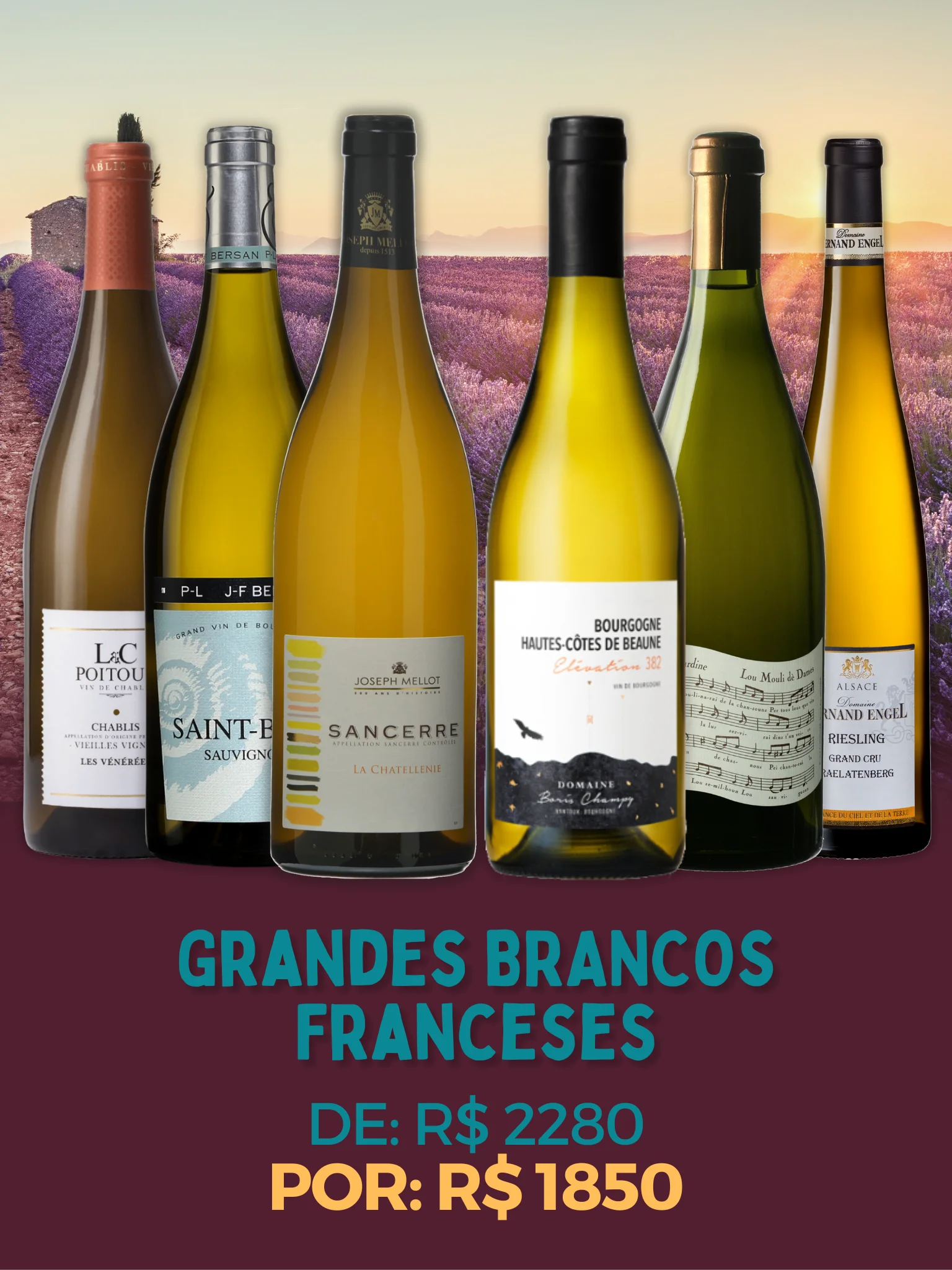 Grandes Brancos Franceses<