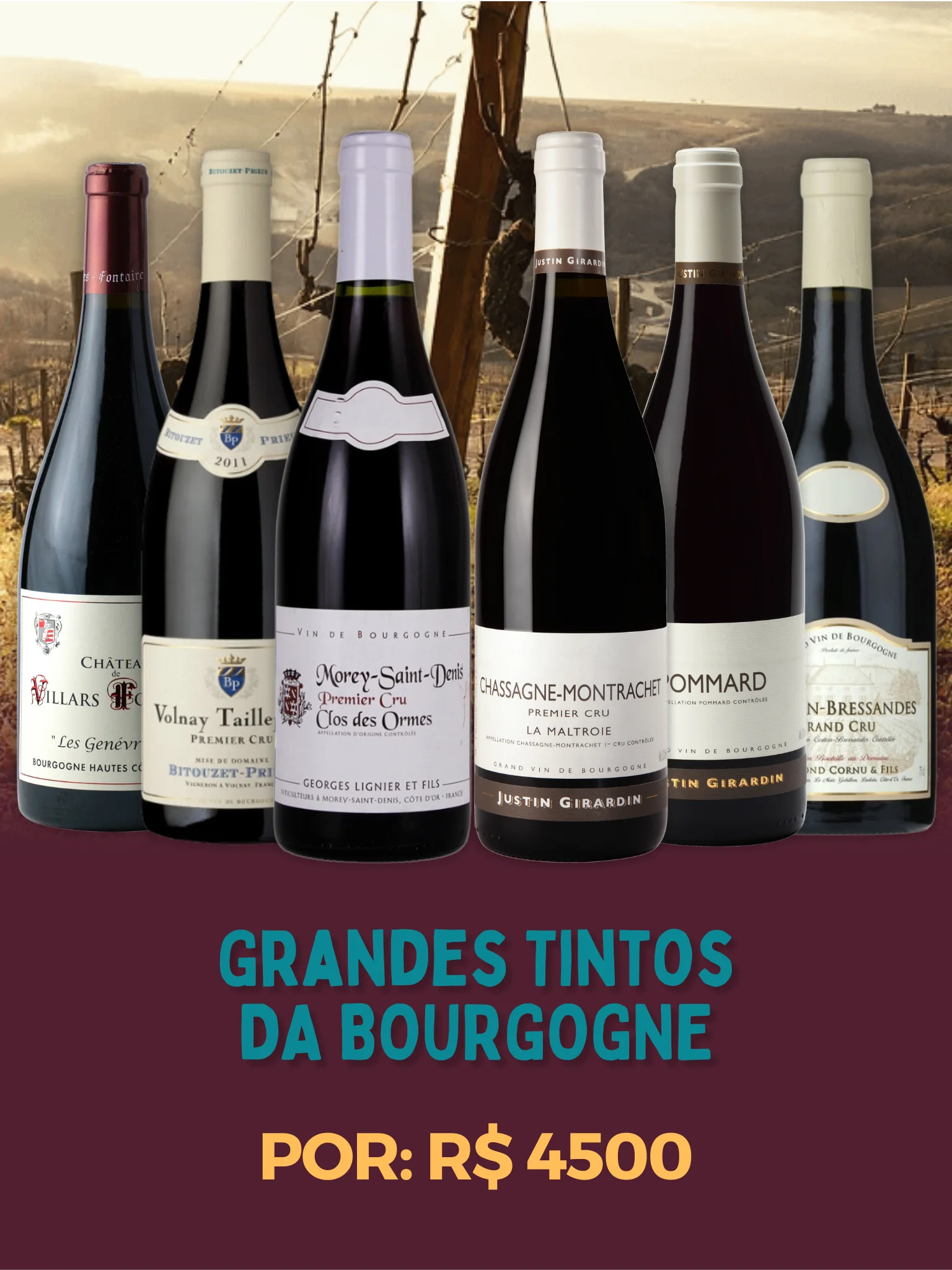 Grandes Tintos da Bourgogne<